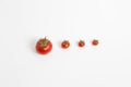 Tomatos in a row Royalty Free Stock Photo