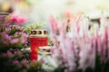 Candle at the cemetery, funeral