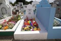 Municipal cemetery in Punta Arenas, Chile Royalty Free Stock Photo