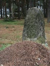 The Tomb in the old cemetery of soldiers of the first world war 1916 year