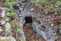 Naachtun Archaeological Site and Archeology Work in Guatemala