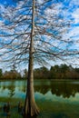 Tomball Burroughs park Houston Texas