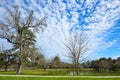 Tomball Burroughs park in Houston Texas Royalty Free Stock Photo