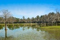 Tomball Burroughs park in Houston Texas Royalty Free Stock Photo