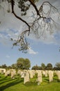 Tombs in a cemetery