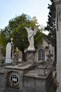 The tombs in the old cementery in Puebla City6