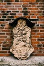 Tombstone on the facade of the Frauenkirche Church of Our Lady in Munich, Bavaria