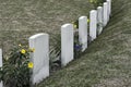 Tombstone and graves