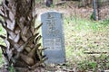 Grave headstone of Daniel Lee settler on Billy`s Island in the Okefenokee Swamp Georgia