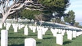 Tombstones on american military national memorial cemetery, graveyard in USA. Royalty Free Stock Photo