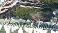 Tombstones on american military national memorial cemetery, graveyard in USA. Royalty Free Stock Photo