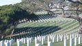 Tombstones on american military national memorial cemetery, graveyard in USA. Royalty Free Stock Photo