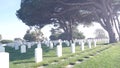 Tombstones on american military national memorial cemetery, graveyard in USA. Royalty Free Stock Photo