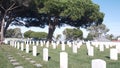 Tombstones On American Military National Memorial Cemetery, Graveyard In USA.