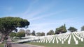 Tombstones on american military national memorial cemetery, graveyard in USA. Royalty Free Stock Photo