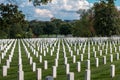 Tombstones in Arlington National Cemetery