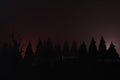 Tombstones cemetery in spooky dark night in mystic fog.Horror scene in pine wild, Holiday event Happy Halloween background concept
