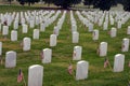 Tombstones with Flags Royalty Free Stock Photo