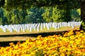 Tombstones and flowers at the Arlington National Cemetery Royalty Free Stock Photo