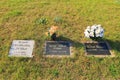 Tombstones on the German soldier's cemetery