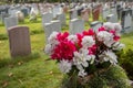 Tombstones on a graveyard Royalty Free Stock Photo