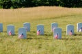 Tombstones on green grass near american flags in graveyard Royalty Free Stock Photo