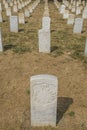 Tombstones in Little Bighorn Battlefield National Memorial: Tombstones