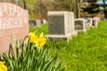 Tombstones in Montreal Cemetery Royalty Free Stock Photo