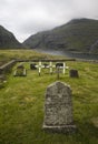 Tombstones in the nature