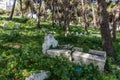 Tombstones in the public Mendoubian gardens in downtown Tangier