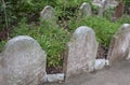 Tombstones of Trafalgar Cemetery, Gibraltar, UK