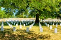 Tombstones under a tree at the Arlington National Cemetery Royalty Free Stock Photo