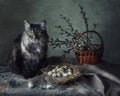 Spring still life with cat