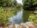 Tomlinson Run State Park in the fall in West Virginia with the fall colors and trees reflecting in the lake, the blue cloud filled Royalty Free Stock Photo