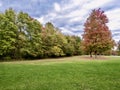 Tomlinson Run State Park in West Virginia at the start of Fall with the tree leaves turning color and fallen leaves on the ground