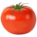 Tomato realistic. vector illustration