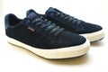 Tommy hilfiger blue sneakers Royalty Free Stock Photo