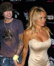 Tommy Lee,Pamela Anderson Royalty Free Stock Photo