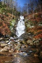 Toms Creek Falls