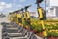 Tomsk, Russia - July 20, 2021 - Electric scooter rental in the city of Tomsk amid flowers.