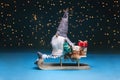 Tomte standing against the starry sky with gifts and sledges