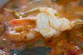 Tomyum kung, famous Thai's food Royalty Free Stock Photo