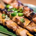 Ton Negima (Grilled Pork Belly and Scallion Skewers) Royalty Free Stock Photo