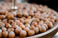 Tonda Gentile di Langa, hazelnut of Piedemont