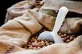 Tonda Gentile di Langa, hazelnut of Piedmont Royalty Free Stock Photo