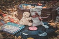 Toned autumn shot with brown suitcase, teddy bear toy, vinyl records and Oscar Wilde fairy tales book. Dry fall leaves, plaid