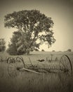 Toned black and white picture of farm implements surrounded by trees and grass
