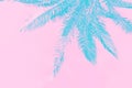 Toned blue palm tree leaves on pink sky background in trendy neon colors. Minimalist surrealistic style creative poster tropical