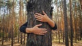 Toned closeup image of female hands hugging big pine tree in forest. Concept of ecology, environment protection and Royalty Free Stock Photo