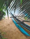 Toned photo of old tradtitional wooden boat for fishing hidden under palm tree during heavy rain on the beach Royalty Free Stock Photo